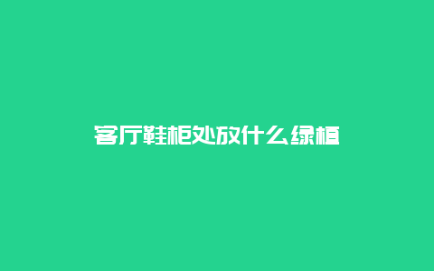 客厅鞋柜处放什么绿植