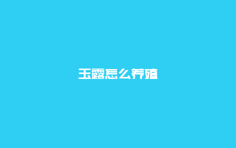 玉露怎么养殖