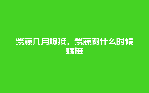 紫藤几月嫁接，紫藤树什么时候嫁接