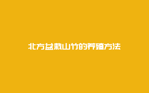 北方盆栽山竹的养殖方法