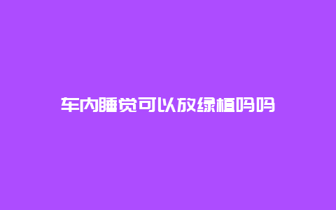 车内睡觉可以放绿植吗吗