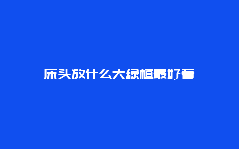 床头放什么大绿植最好看