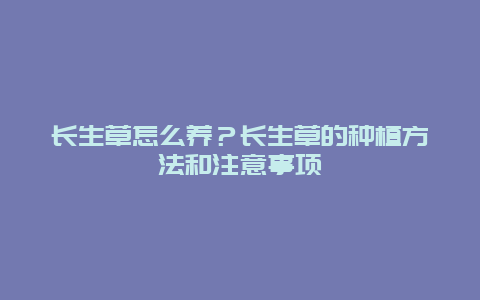 长生草怎么养？长生草的种植方法和注意事项