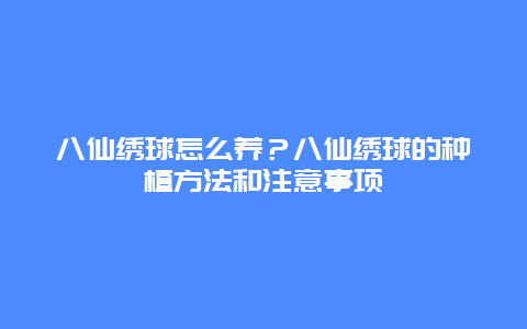 八仙绣球怎么养？八仙绣球的种植方法和注意事项