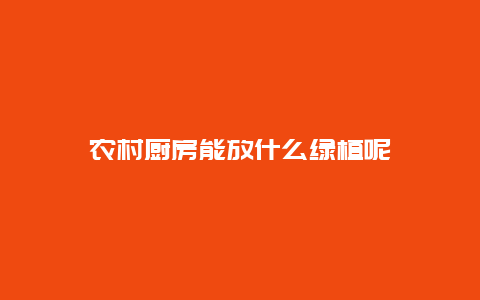 农村厨房能放什么绿植呢