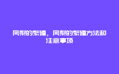 凤梨的繁殖，凤梨的繁殖方法和注意事项