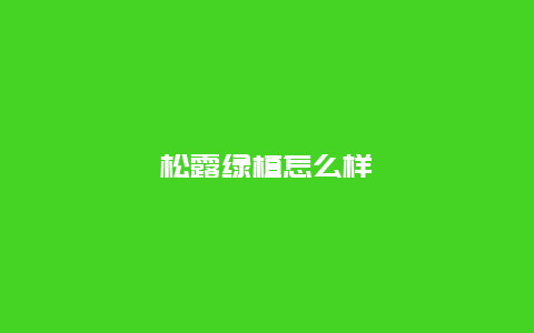 松露绿植怎么样