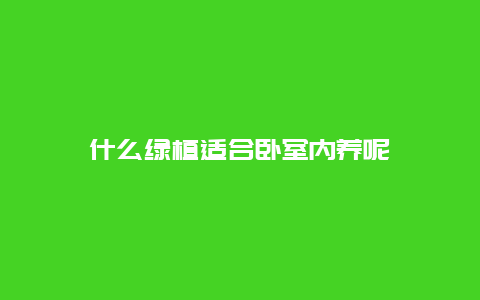 什么绿植适合卧室内养呢