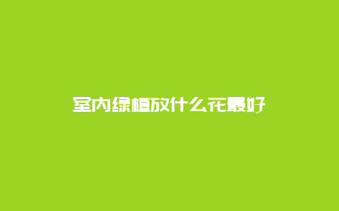 室内绿植放什么花最好