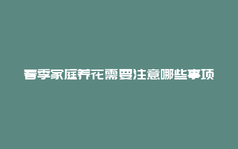 春季家庭养花需要注意哪些事项