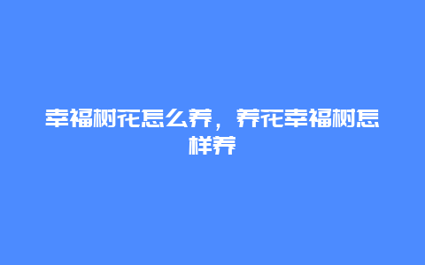 幸福树花怎么养，养花幸福树怎样养