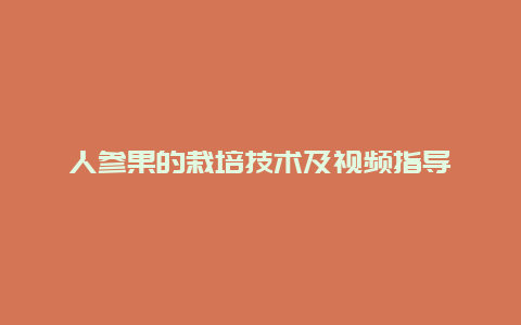 人参果的栽培技术及视频指导