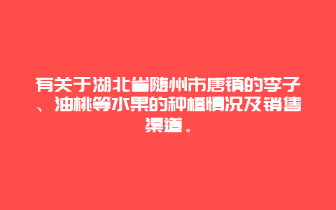 有关于湖北省随州市唐镇的李子、油桃等水果的种植情况及销售渠道。