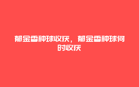 郁金香种球收获，郁金香种球何时收获