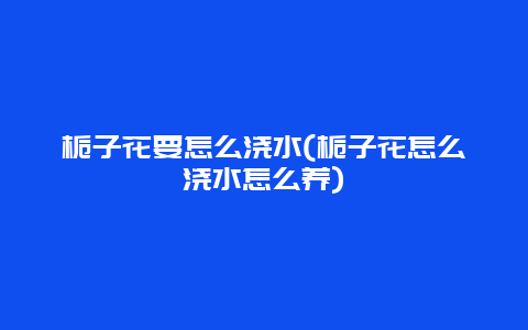 栀子花要怎么浇水(栀子花怎么浇水怎么养)