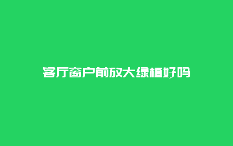 客厅窗户前放大绿植好吗