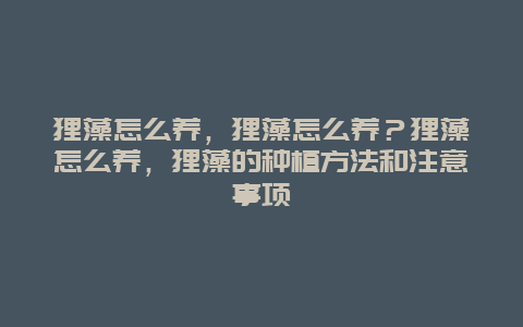 狸藻怎么养，狸藻怎么养？狸藻怎么养，狸藻的种植方法和注意事项