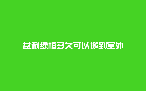 盆栽绿植多久可以搬到室外