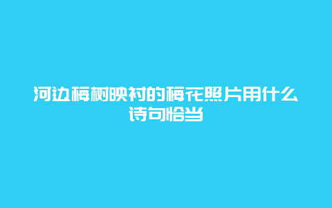 河边梅树映衬的梅花照片用什么诗句恰当