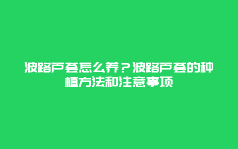 波路芦荟怎么养？波路芦荟的种植方法和注意事项