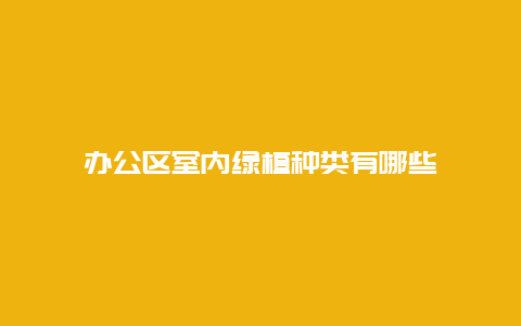 办公区室内绿植种类有哪些