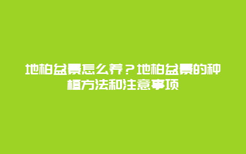 地柏盆景怎么养？地柏盆景的种植方法和注意事项