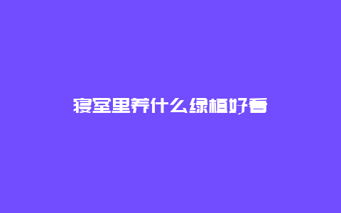 寝室里养什么绿植好看