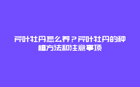 芹叶牡丹怎么养？芹叶牡丹的种植方法和注意事项