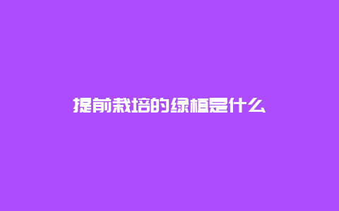 提前栽培的绿植是什么