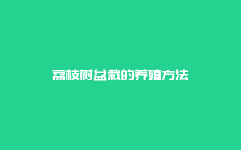 荔枝树盆栽的养殖方法