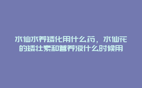 水仙水养矮化用什么药，水仙花的矮壮素和营养液什么时候用