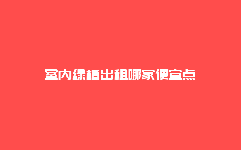 室内绿植出租哪家便宜点