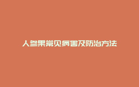 人参果常见病害及防治方法