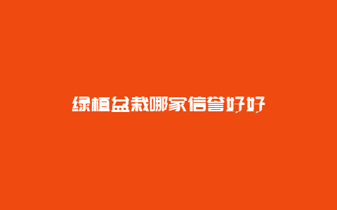 绿植盆栽哪家信誉好好