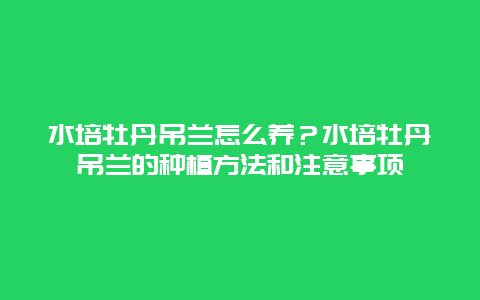 水培牡丹吊兰怎么养？水培牡丹吊兰的种植方法和注意事项