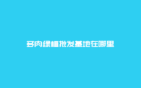 多肉绿植批发基地在哪里