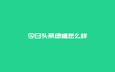 今日头条绿植怎么样