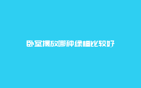 卧室摆放哪种绿植比较好