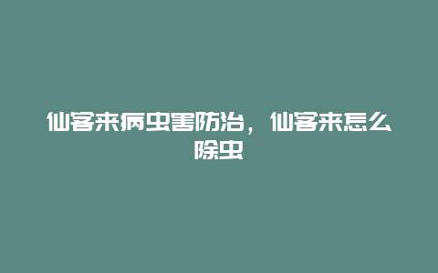 仙客来病虫害防治，仙客来怎么除虫