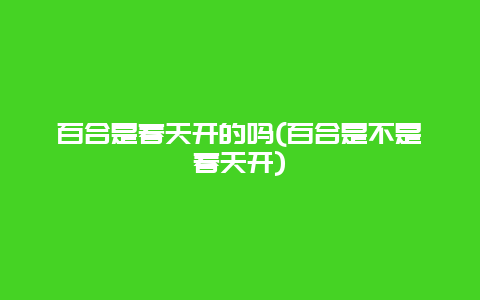 百合是春天开的吗(百合是不是春天开)