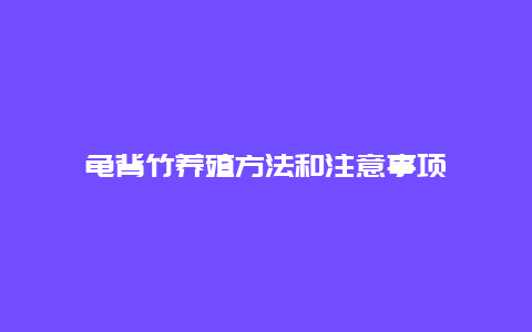 龟背竹养殖方法和注意事项