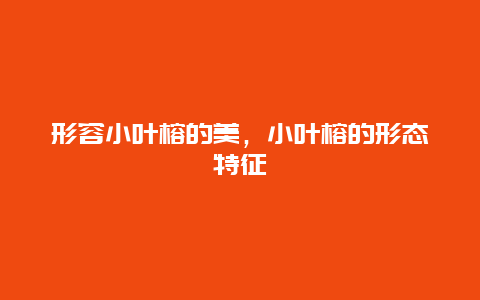 形容小叶榕的美，小叶榕的形态特征