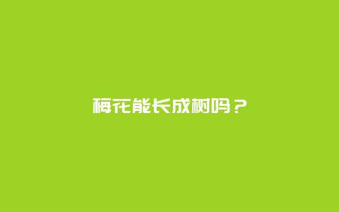 梅花能长成树吗？