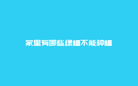 家里有哪些绿植不能种植