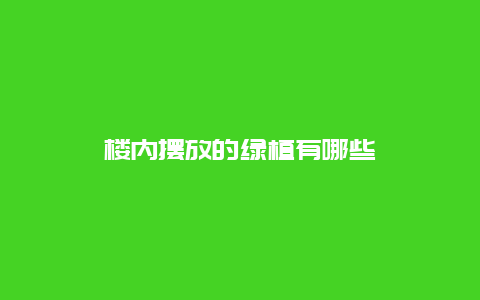 楼内摆放的绿植有哪些