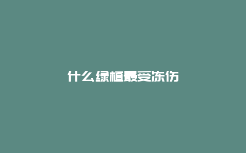 什么绿植最受冻伤