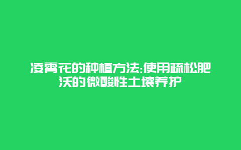 凌霄花的种植方法:使用疏松肥沃的微酸性土壤养护