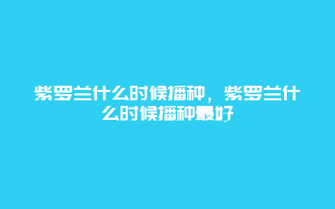 紫罗兰什么时候播种，紫罗兰什么时候播种最好