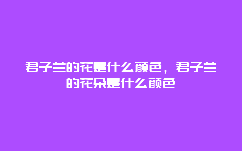 君子兰的花是什么颜色，君子兰的花朵是什么颜色