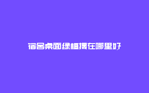 宿舍桌面绿植摆在哪里好